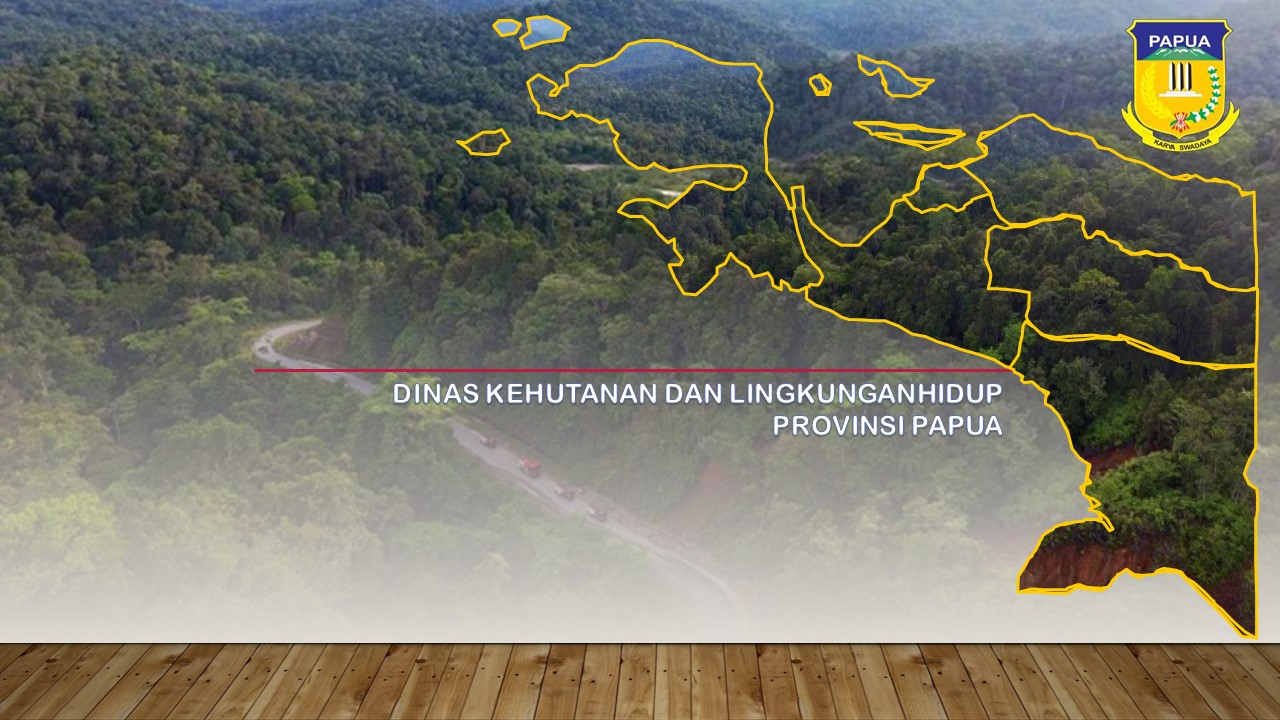 Desktop Dinas Kehutanan dan LH Papua